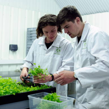 Bayer Crop Science team